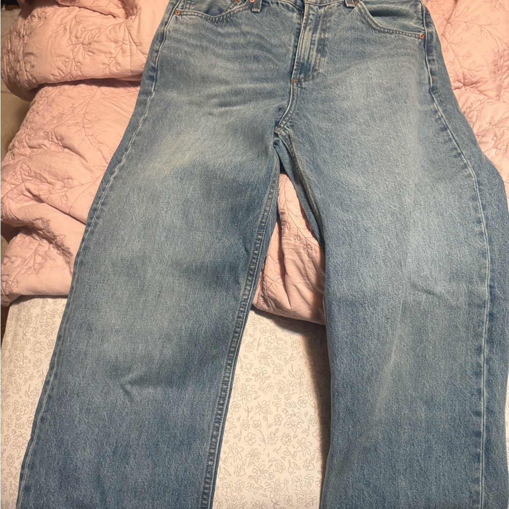 Aritzia The 90’s Iggy Lo Rise Baggy Jean